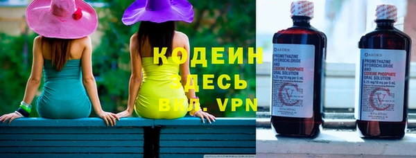 прущие грибы Медногорск