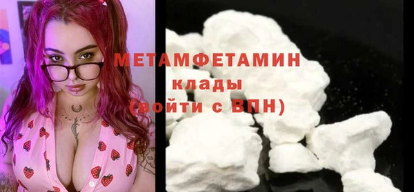 прущие грибы Медногорск