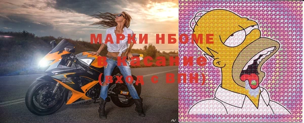прущие грибы Медногорск