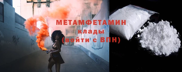 прущие грибы Медногорск