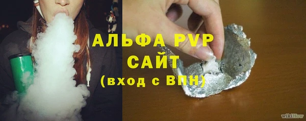 прущие грибы Медногорск