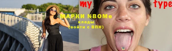 прущие грибы Медногорск