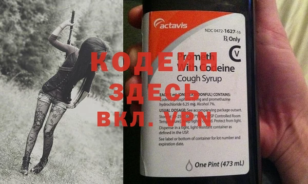 прущие грибы Медногорск