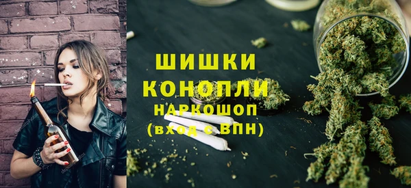 прущие грибы Медногорск