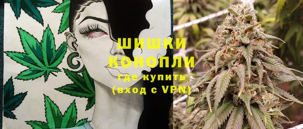 прущие грибы Медногорск
