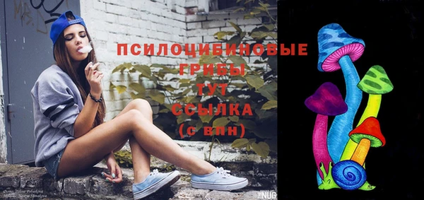 прущие грибы Медногорск