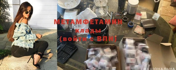 прущие грибы Медногорск