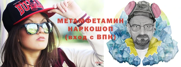 прущие грибы Медногорск