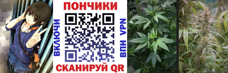 Бошки марихуана тримм Серафимович